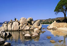 28quan-关于掘金不断突破！，Doinb连续三场比赛得分超过大比分获胜赢得满堂喝彩的信息